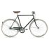 Gazelle Van Stael Herenfiets in Hunter Green Glans met 7 Versnellingen