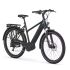Gazelle Medeo T10 Sportieve Hybride E-bike in Pine Green Glans (45 cm, 2024)